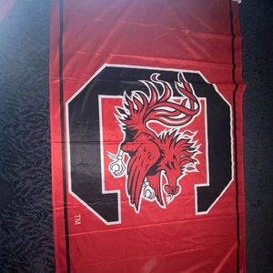 University Of South Carolina Flag